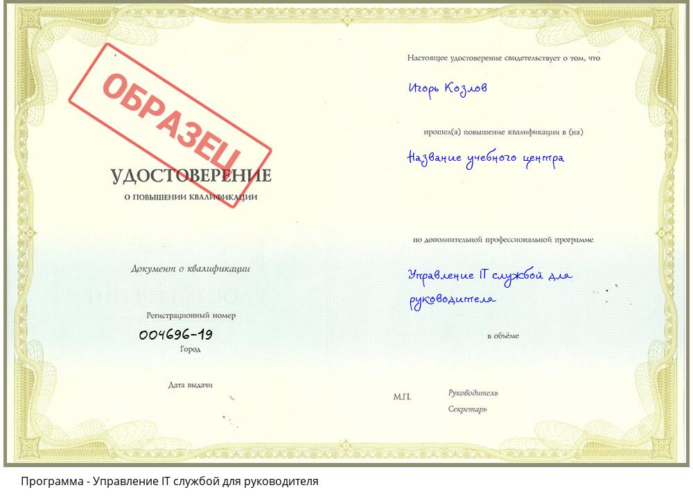 Управление IT службой для руководителя Кирово-Чепецк
